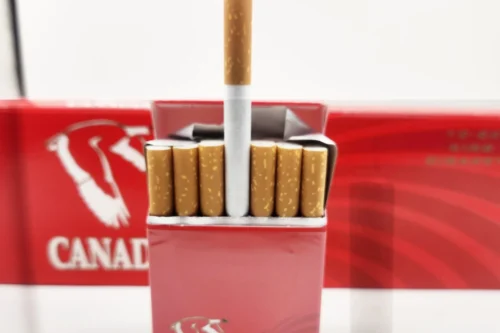 Canadian Goose Full 20 Pack Cigarettes