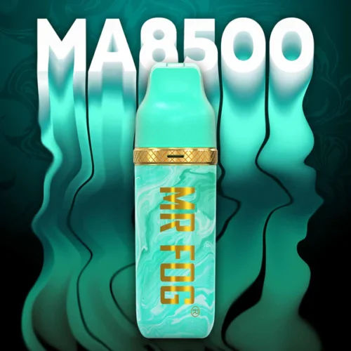 MR FOG - MAX AIR 8500 PUFFS - Double Spearmint